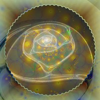 Lit Sprial Rose Petals