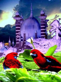 Together We Fly Into The Dream