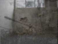 Empty Room
