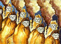 Camels
