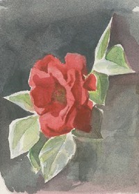 rose
