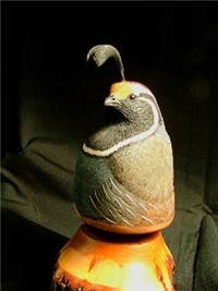 California Quail