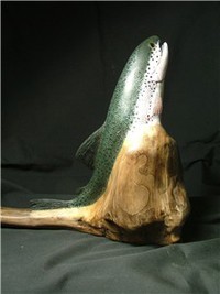 Rainbow Trout