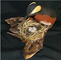 Grebe