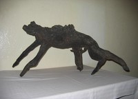 Aardvark