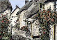 Inner Hope â€“ Hope Cove, Devon