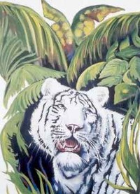 WHITE TIGER