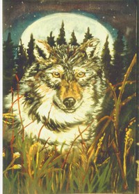 WOLF MOON