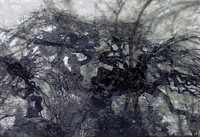 Rosalind Schneider, Frost