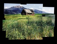 "Abandoned Barn In Tall Grass"