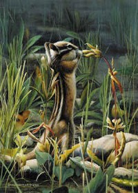 A Little off the Top