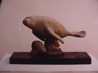 "Manatee And Baby"