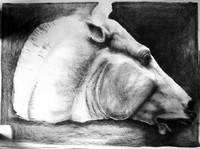 Study, Elgin Marbles
