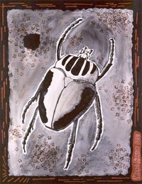 Skalbagge
