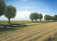 Gravelled road 2