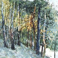 In A Pine Wood