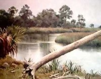 The Silver River