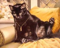 Buttons on a Lazy Afternoon