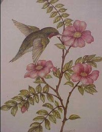 Hummingbird Rose Cameo Collection