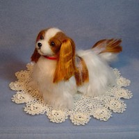 Cavalier King Charles Spaniel Dog