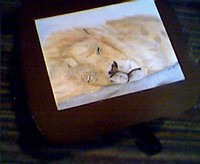 Sleeping Lion